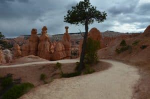 Hiking in the Bryce Amphitheater on the Queens Garden Trail at Bryce Canyon National Park in Utah