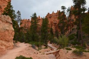 At the bottom of the Bryce Amphitheater on the Queens Garden Trail at Bryce Canyon National Park in Utah