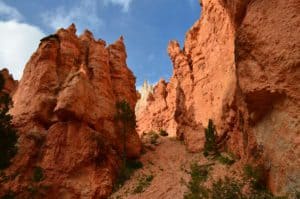 Near the bottom of Bryce Amphitheater on the Navajo Loop Trail at Bryce Canyon National Park in Utah