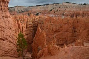 At the top of Wall Street on the Navajo Loop Trail at Bryce Canyon National Park in Utah