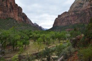 Approaching the Grotto on the Kayenta Trail at Zion National Park in Utah