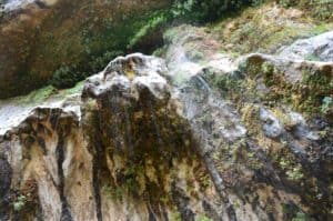 Water seeping down the mountain on the Weeping Rock Trail at Zion National Park in Utah