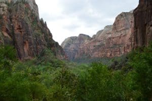 View from the trail on the Weeping Rock Trail at Zion National Park in Utah
