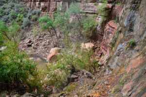 Natural pool on the Weeping Rock Trail at Zion National Park in Utah