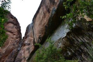 Water seeping down the mountain on the Weeping Rock Trail at Zion National Park in Utah