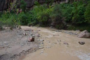 Virgin River on the Riverside Walk at Zion National Park in Utah