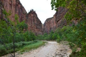 Looking down the canyon on the Riverside Walk at Zion National Park in Utah