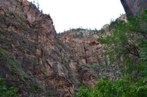 Looking up on the Riverside Walk at Zion National Park in Utah