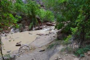 Virgin River on the Riverside Walk at Zion National Park in Utah