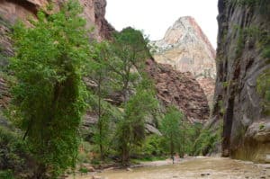 End of the trail / beginning of the Narrows on the Riverside Walk at Zion National Park in Utah