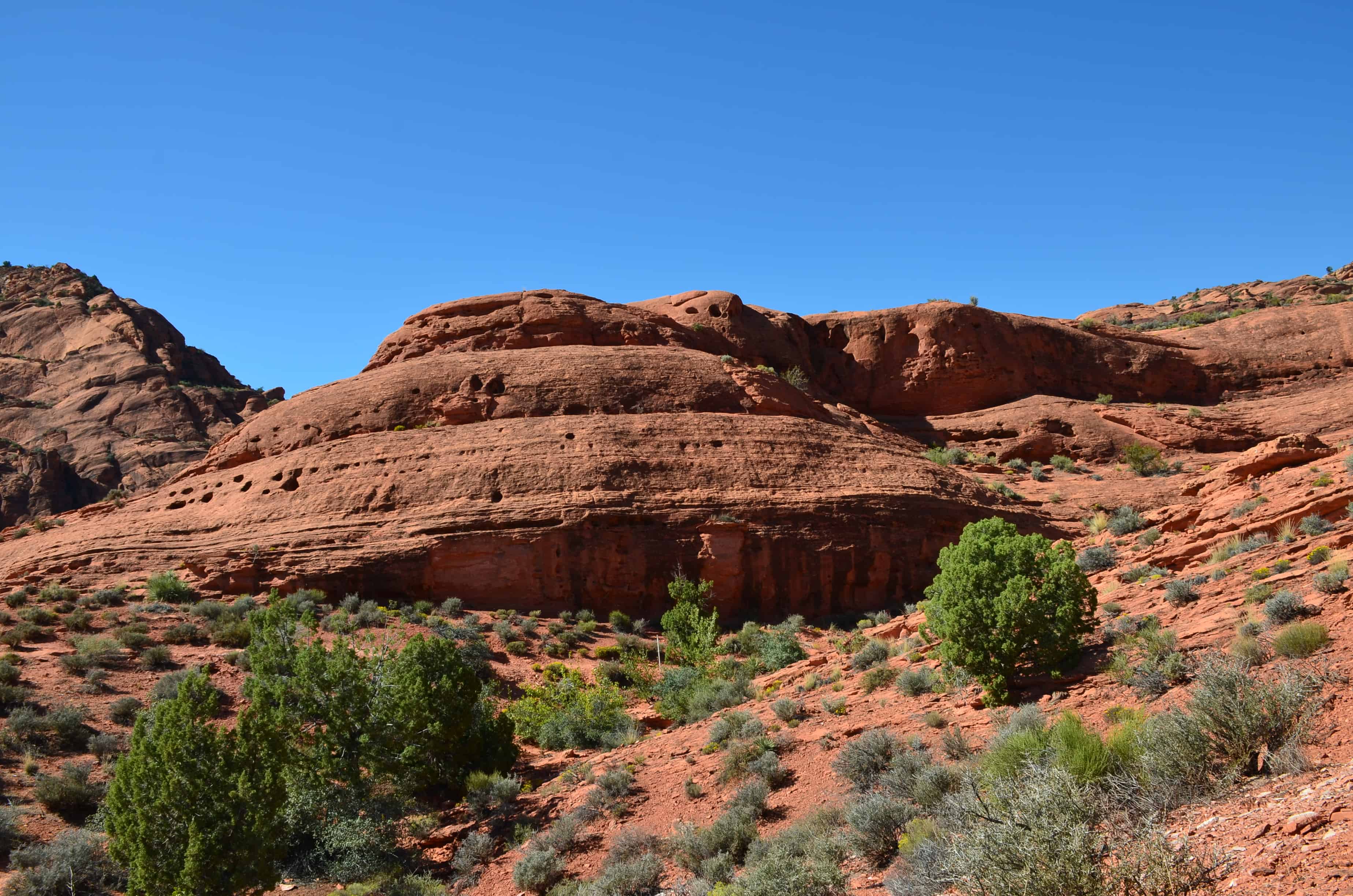 Scenery on the Dinosaur Tracks Trail at Red Cliffs Recreation Area in Utah