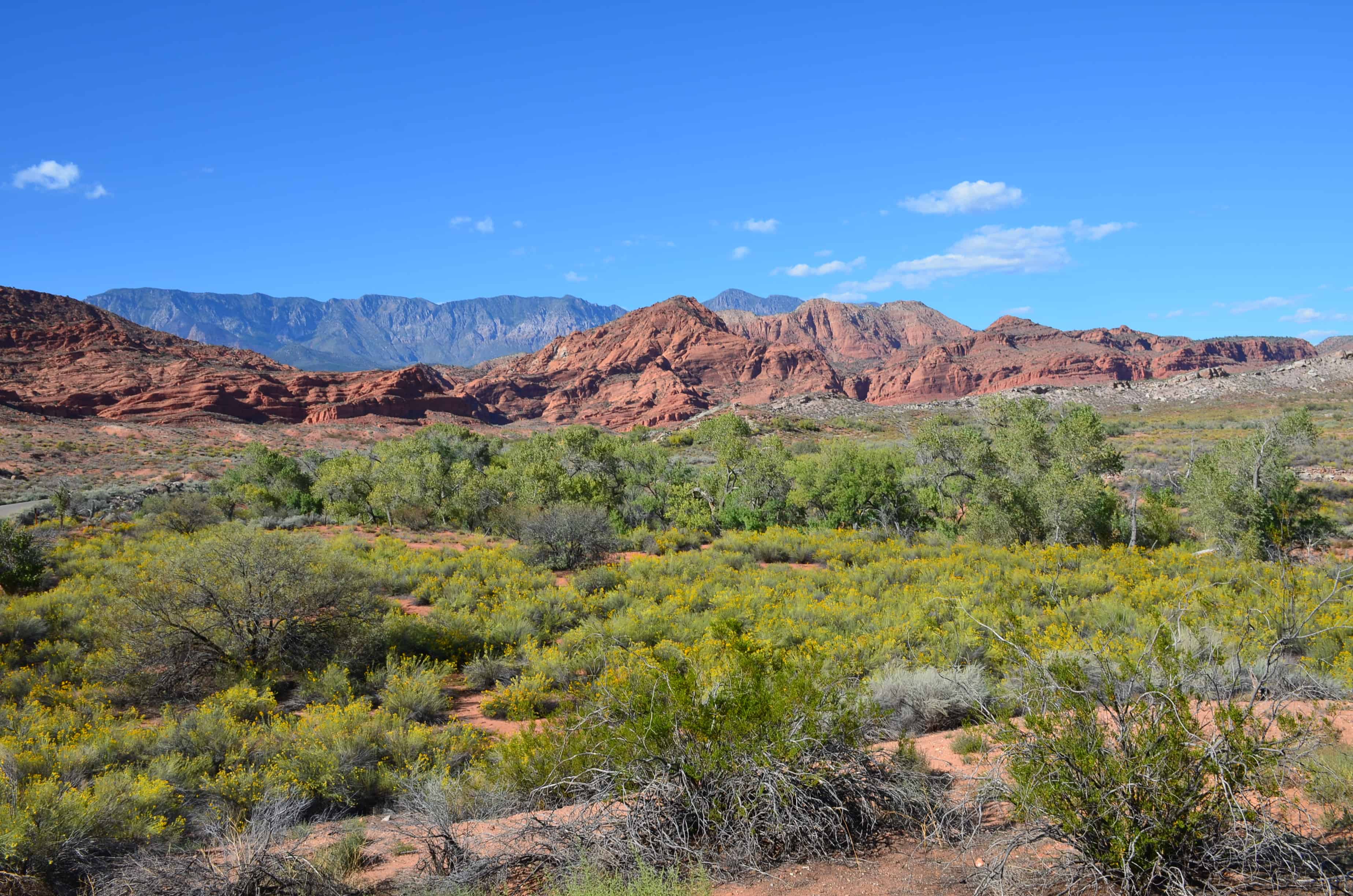 Scenery at the Orson Adams house at Red Cliffs Recreation Area in Utah