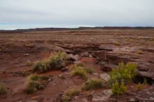 Area containing dinosaur tracks near Tuba City, Arizona