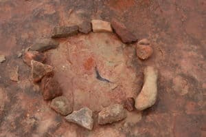 Fossil near Tuba City, Arizona
