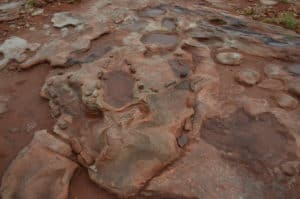 Tyrannosaurus Rex track near Tuba City, Arizona