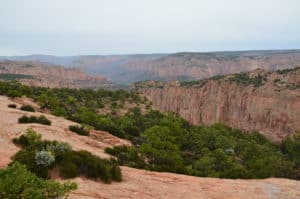 Tsegi Overlook at Navajo National Monument in Arizona