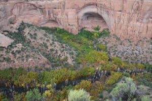 Betatakin Overlook at Navajo National Monument in Arizona