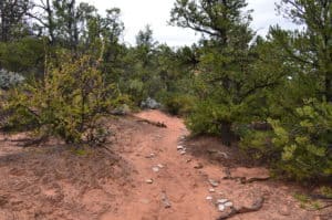 Canyon View Trail at Navajo National Monument in Arizona