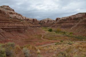 Calf Canyon in Bluff, Utah