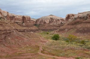 Calf Canyon in Bluff, Utah