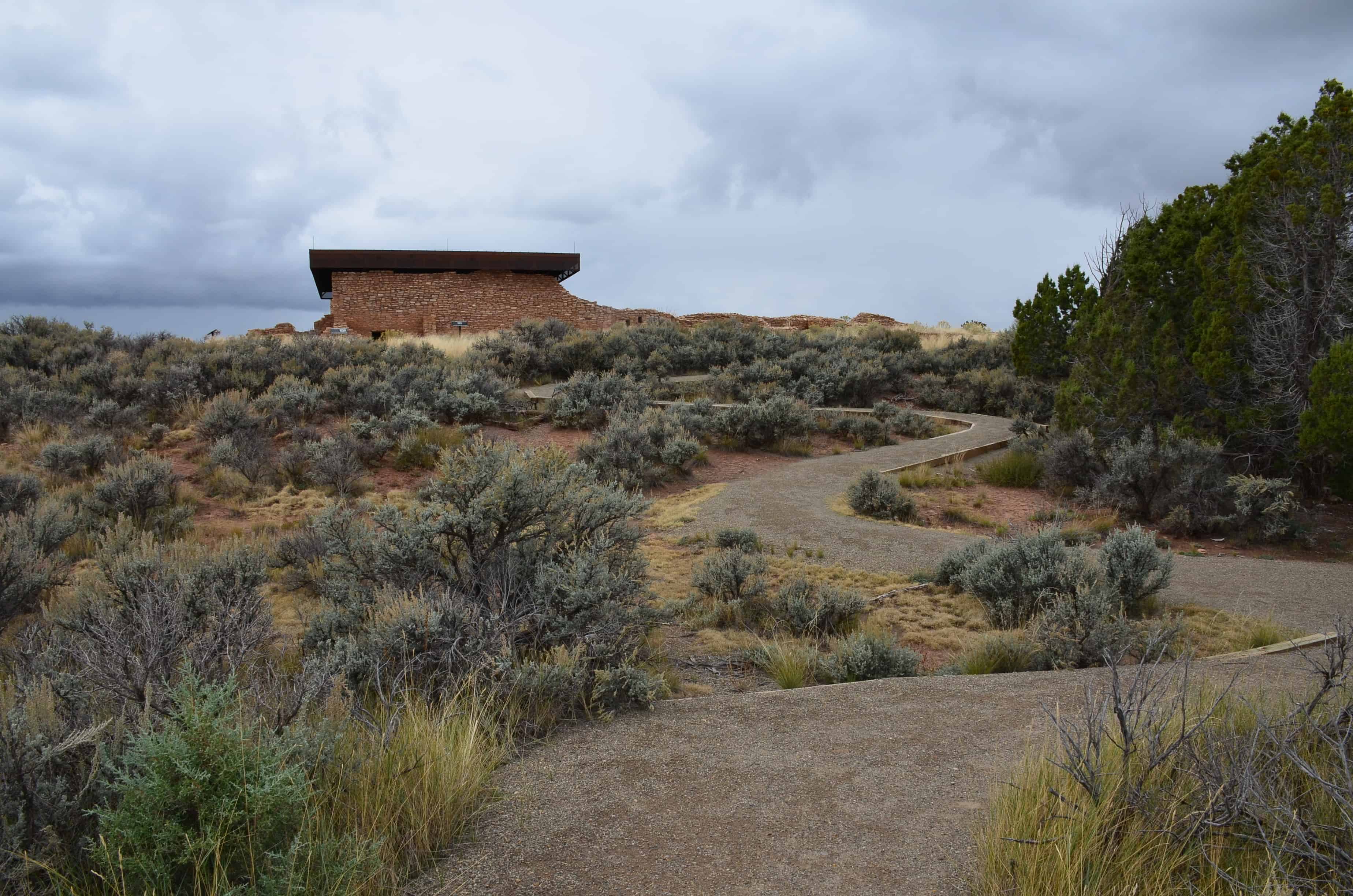 Looking back at Lowry Pueblo at Lowry Pueblo at Canyons of the Ancients National Monument in Colorado
