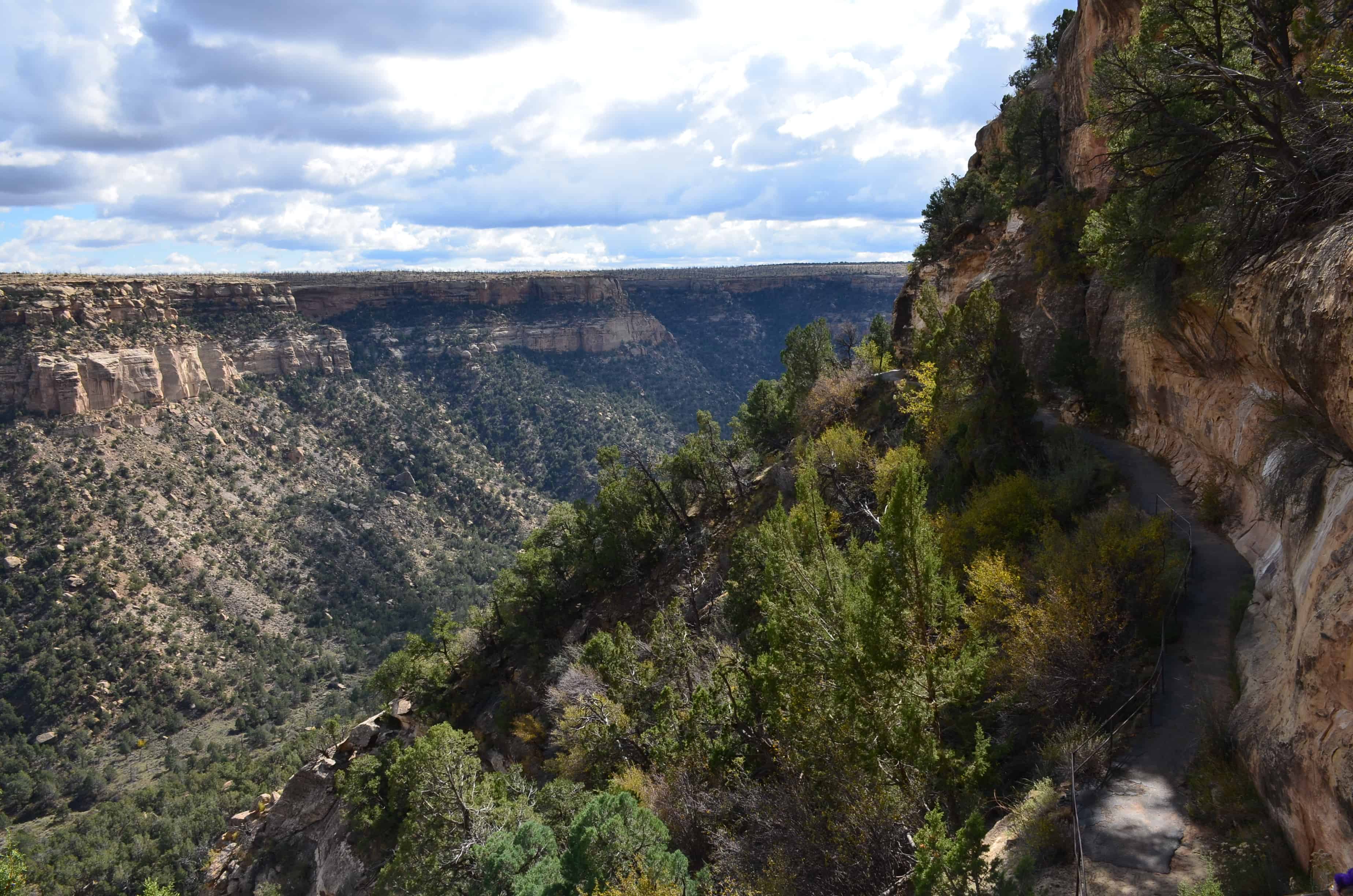 Trail along the canyon wall on the Balcony House tour at Mesa Verde National Park in Colorado