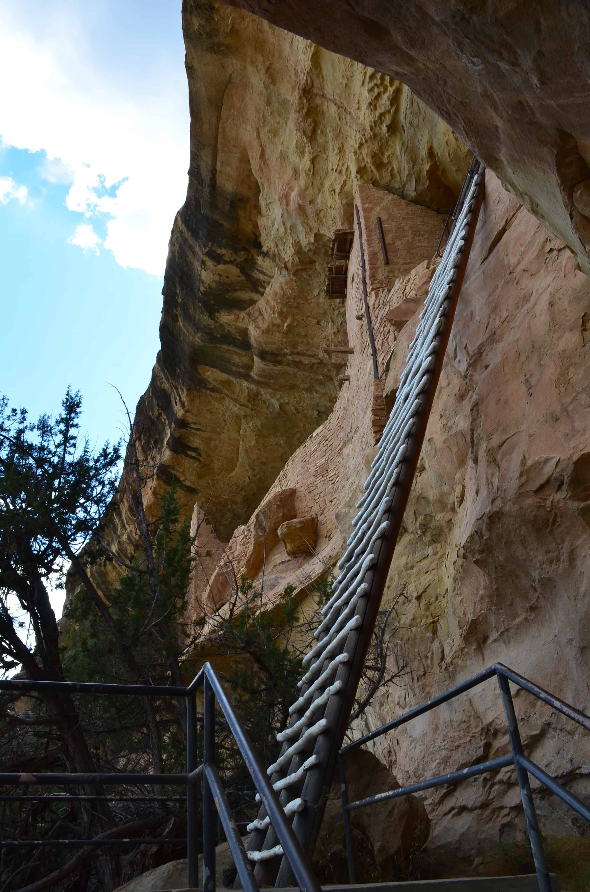 Ladder up to the site on the Balcony House tour at Mesa Verde National Park in Colorado