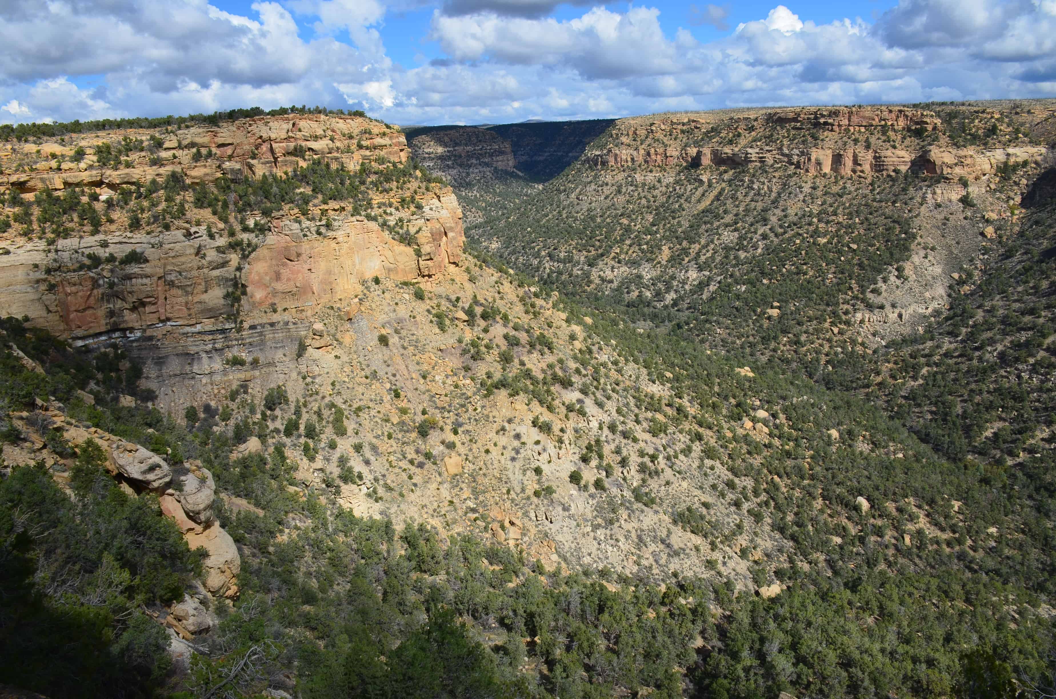 View of the canyon while climbing back up on the Balcony House tour at Mesa Verde National Park in Colorado