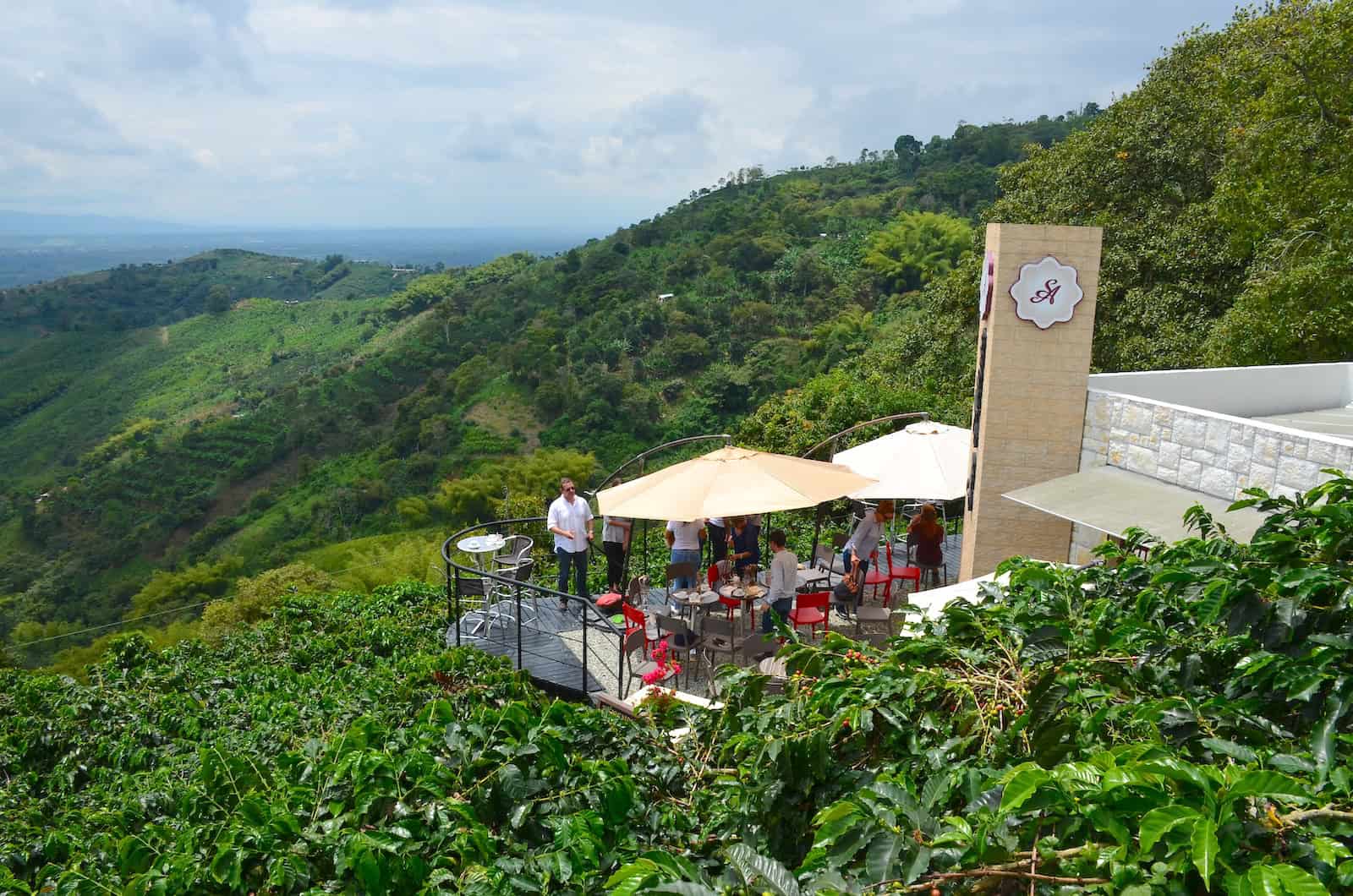 San Alberto Terraza at Café San Alberto in Buenavista, Quindío, Colombia