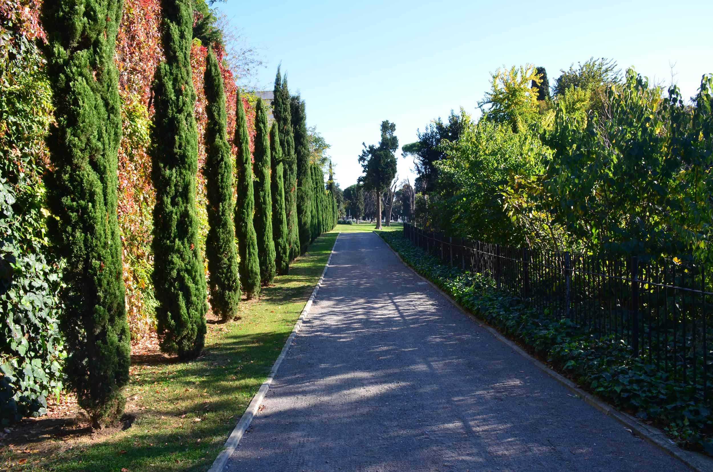 Path from the Crimean War section at the Haidar Pasha Cemetery in Istanbul, Turkey