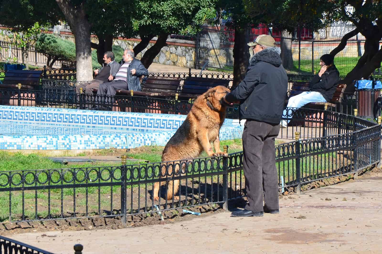 Man playing with his dog in Kadırga Park