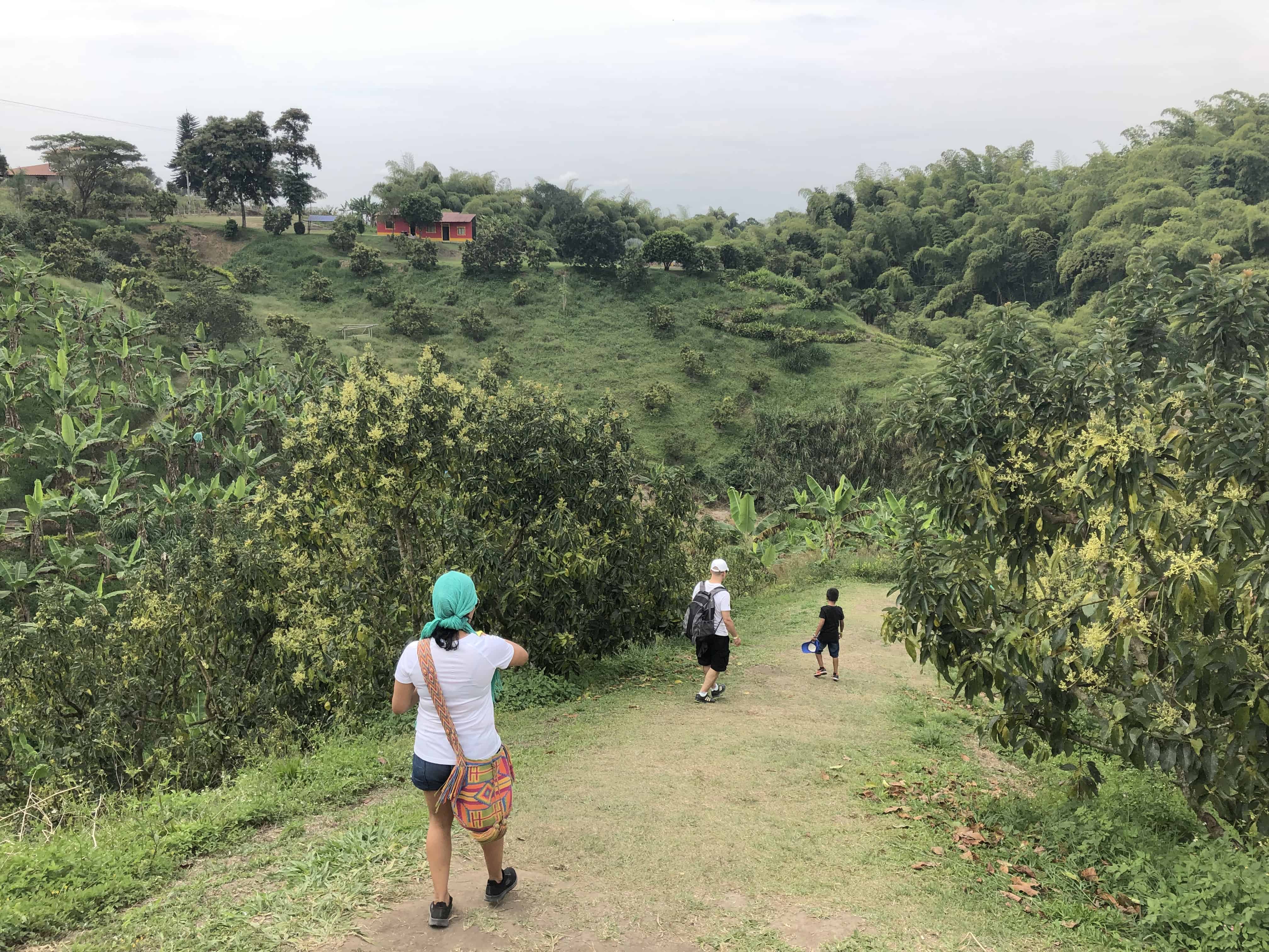 Nature trail at Las Bailarinas in Montenegro, Quindío, Colombia