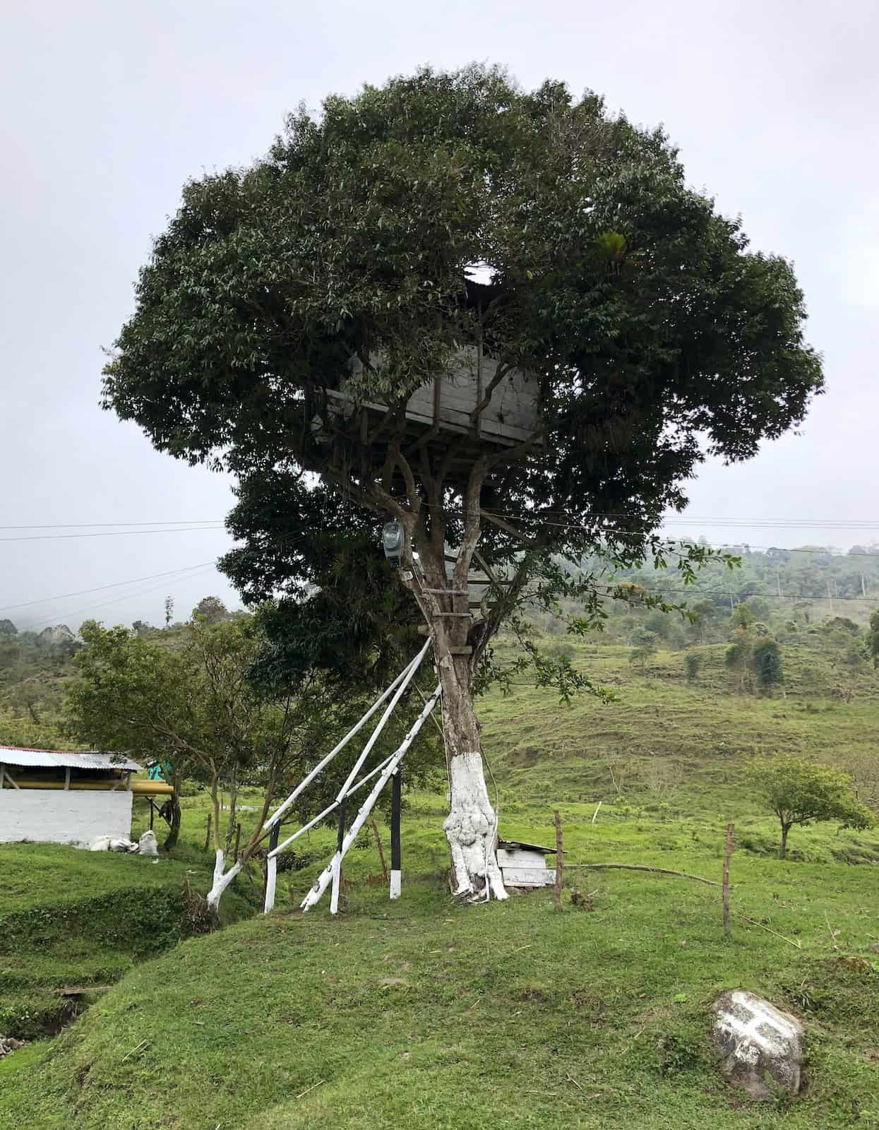 Treehouse at Mampay, Mistrató, Risaralda, Colombia