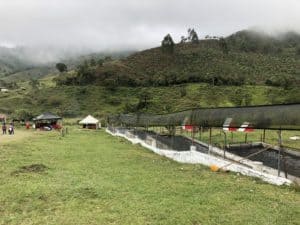 Trout farm at Mampay, Mistrató, Risaralda, Colombia