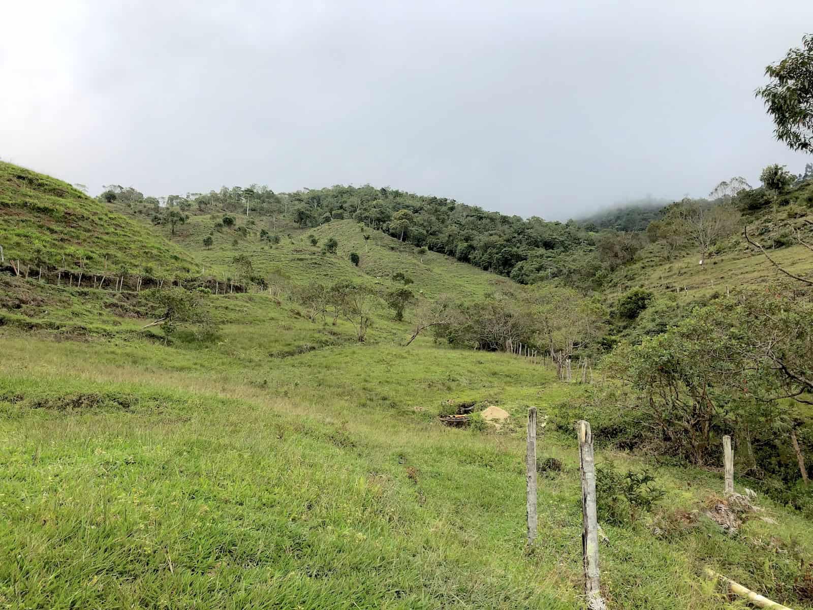 Trail at Mampay, Mistrató, Risaralda, Colombia