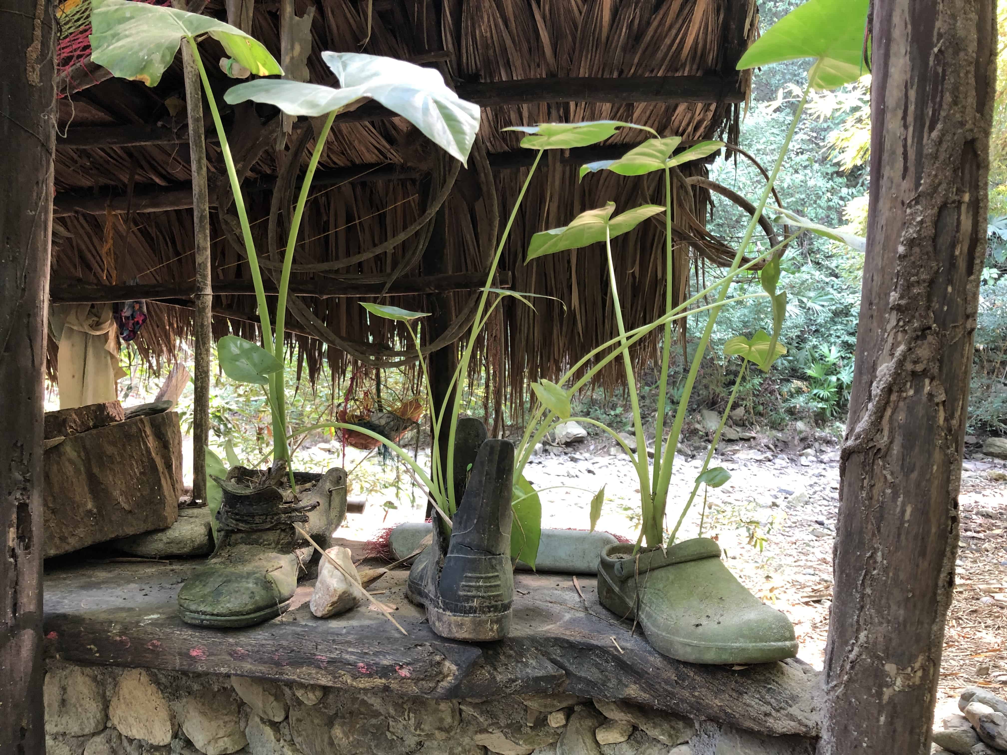 Interesting planters at Quebrada Valencia, Magdalena, Colombia