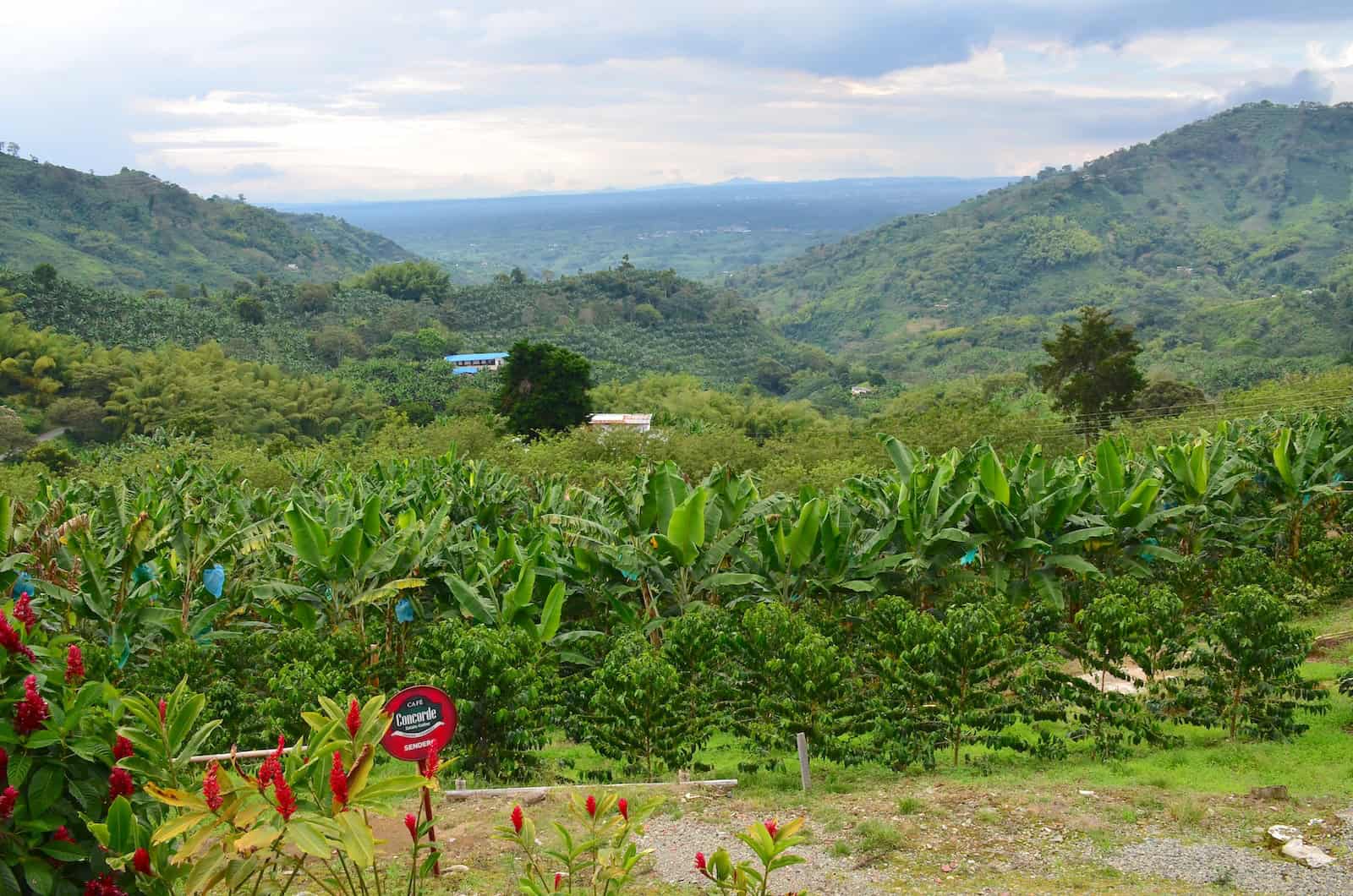 The view from Mirador Café Concorde