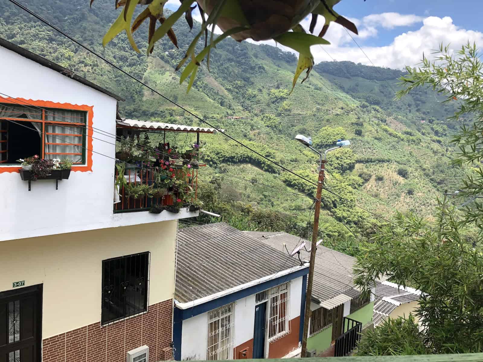 The view from Río Azul