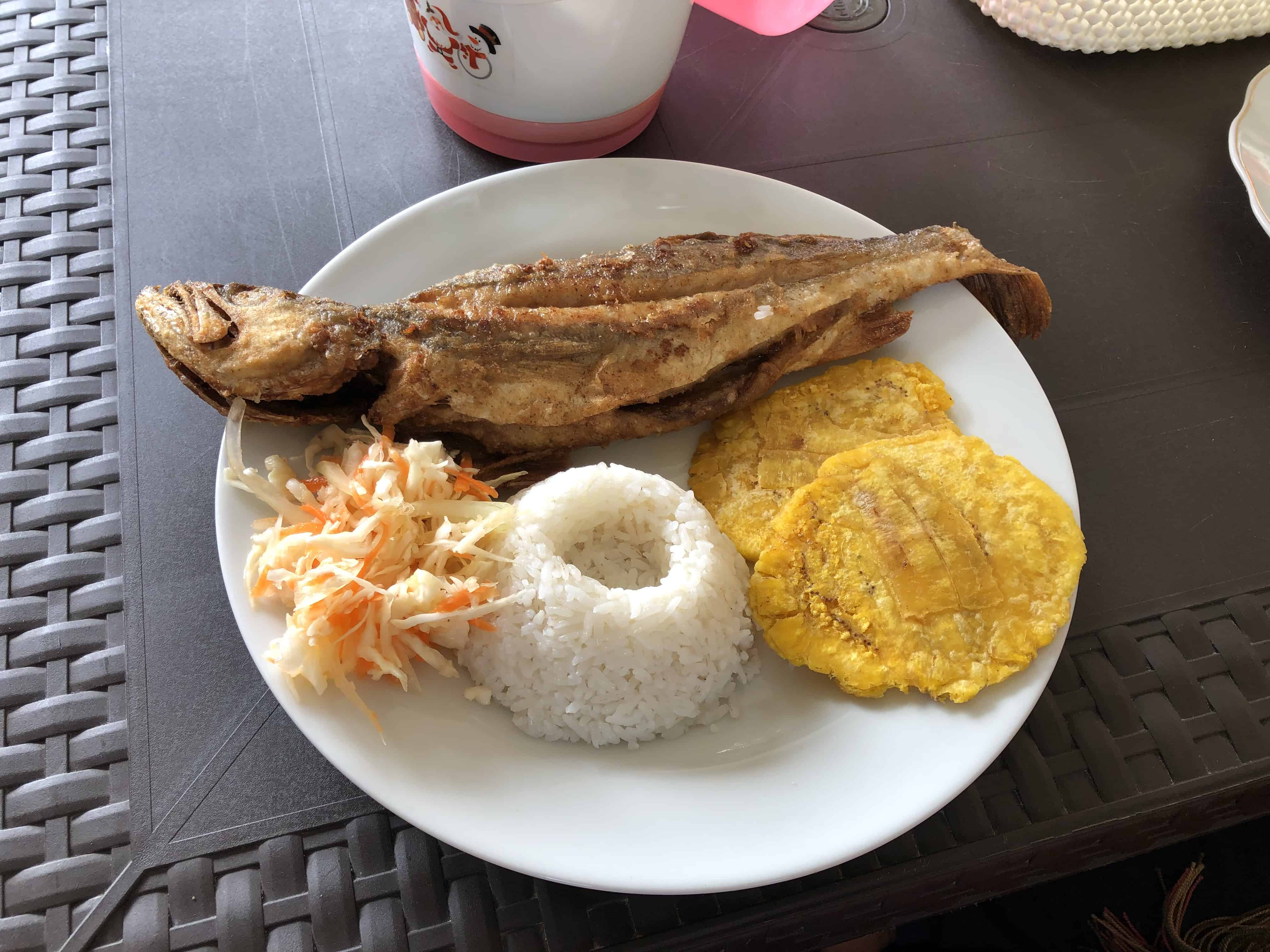 Fried fish at Hotel Relief in San Cipriano, Valle del Cauca, Colombia