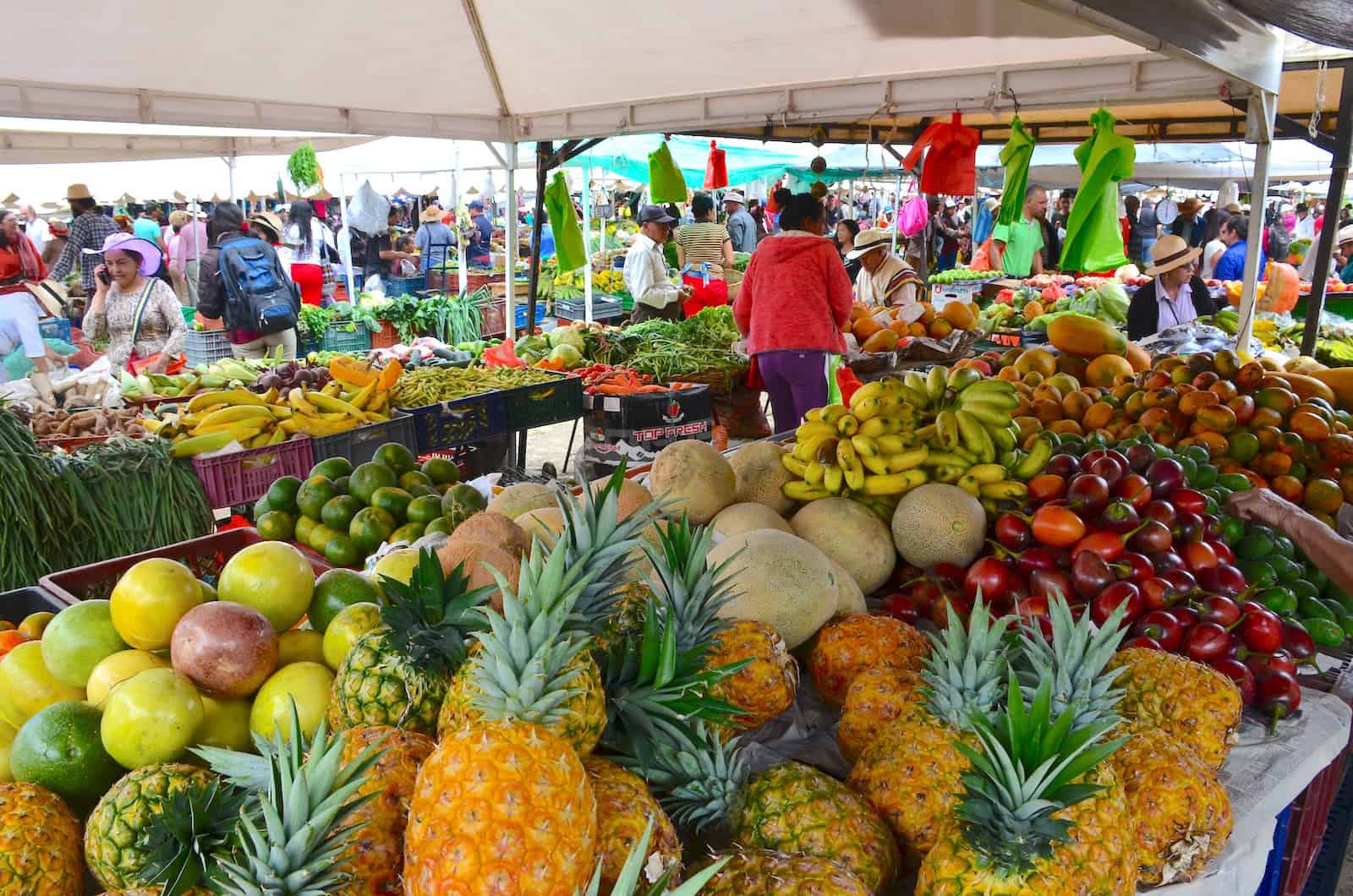 Fruits for sale at the Saturday Market