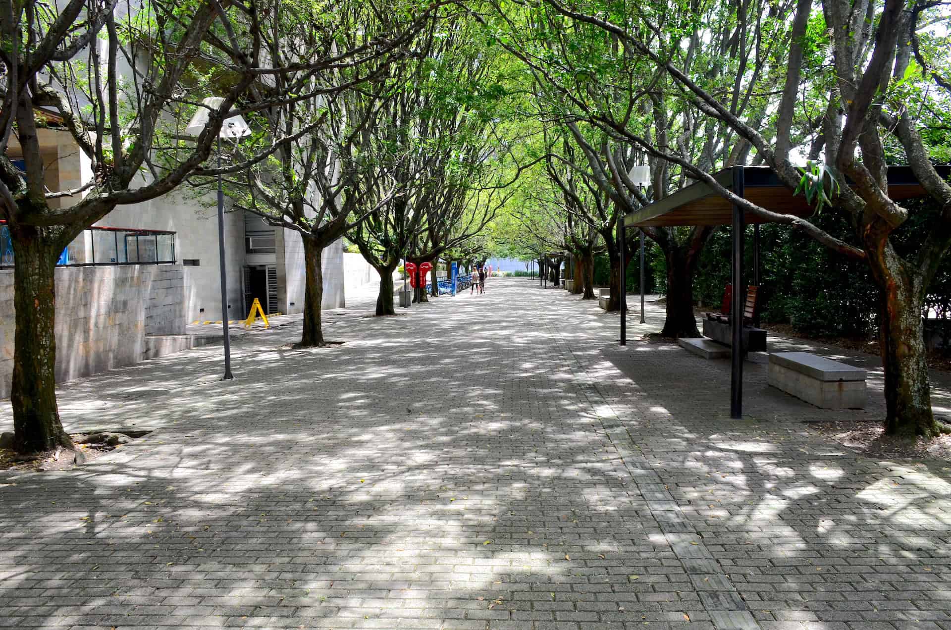 Path near Barefoot Park in Medellín, Antioquia, Colombia