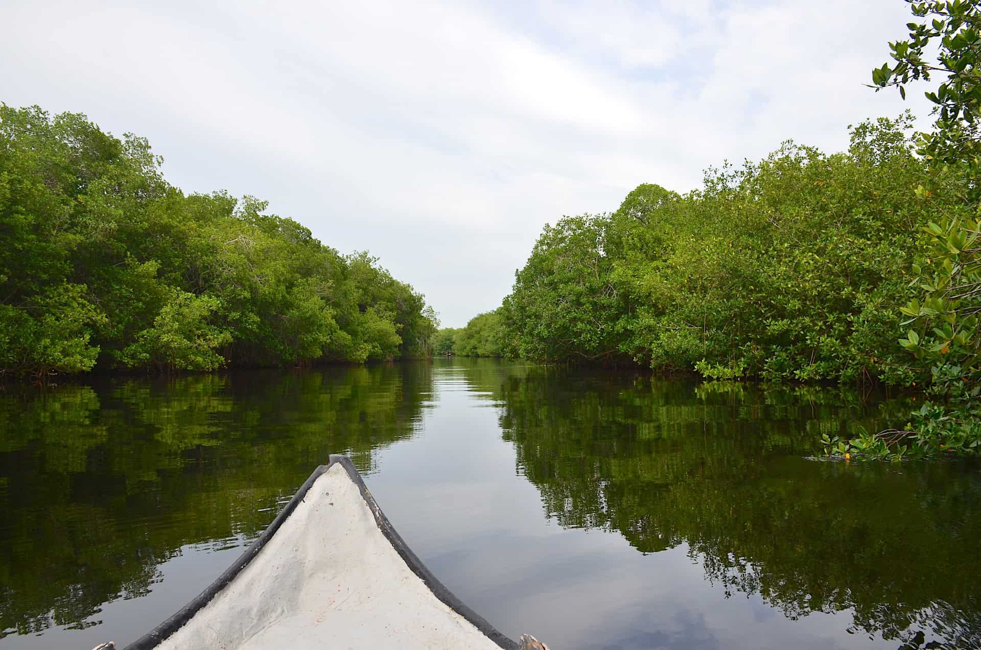 Main canal at Ciénaga de la Caimanera in Coveñas, Sucre, Colombia