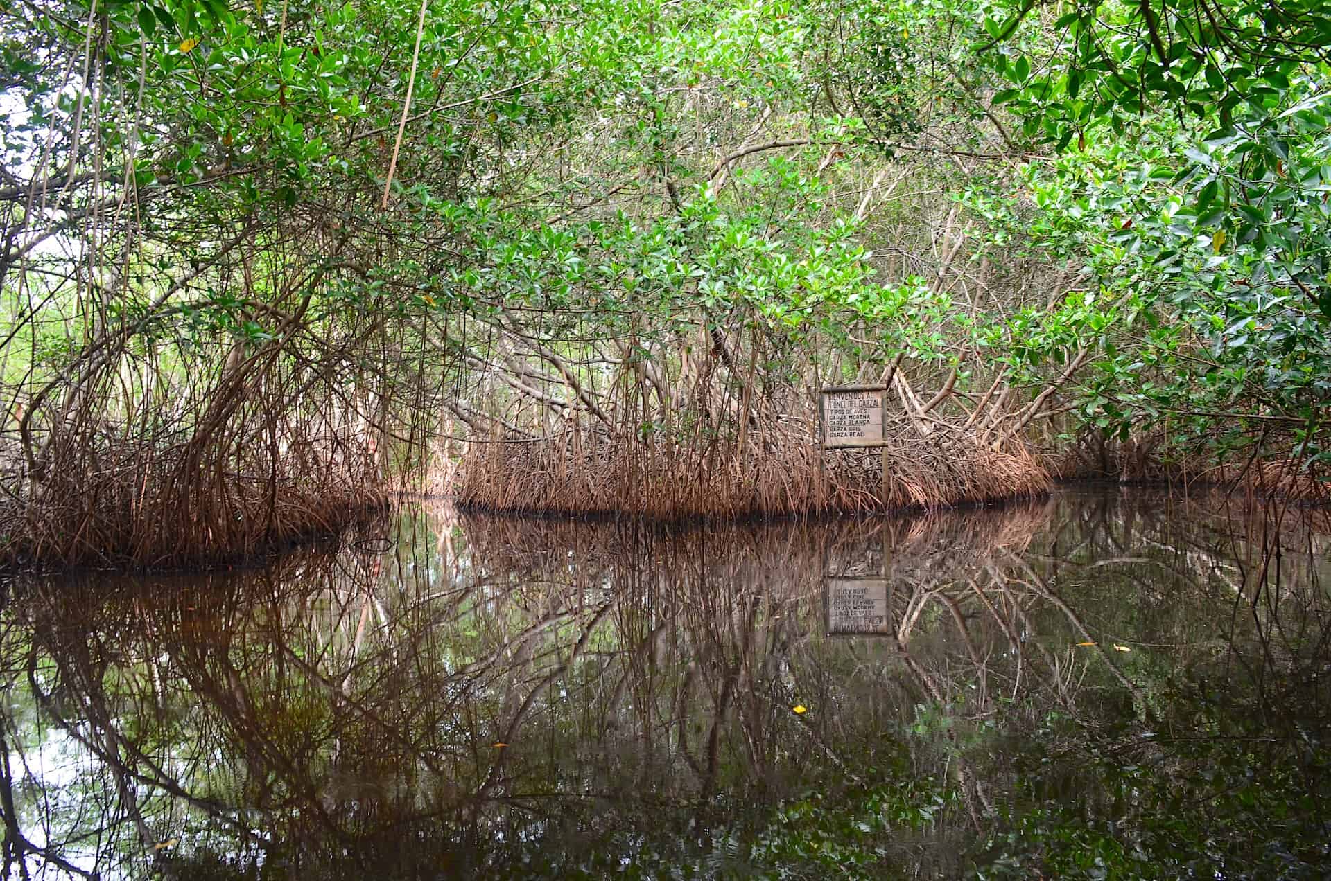 Heron Tunnel