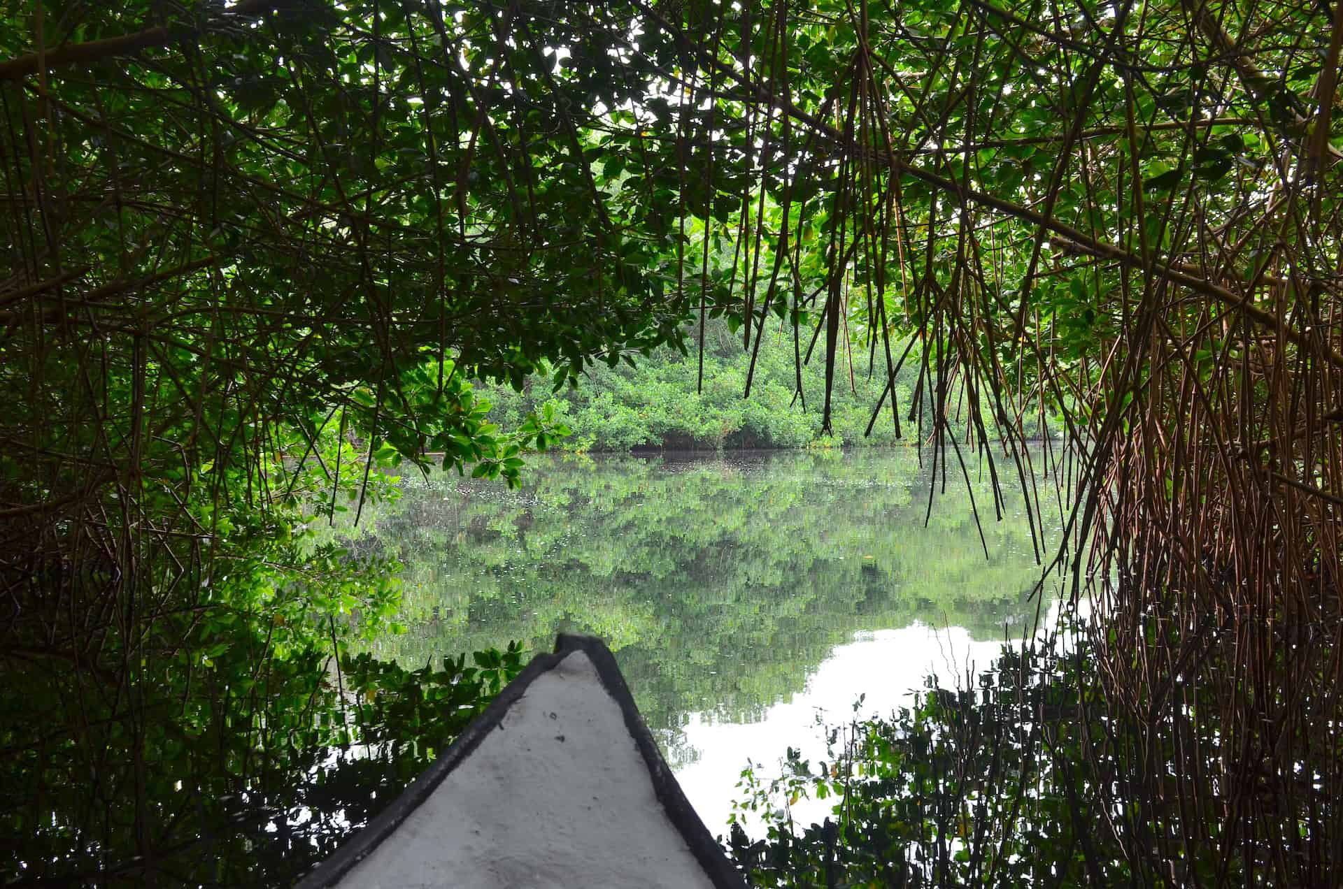 Entering the lagoon at Ciénaga de la Caimanera in Coveñas, Sucre, Colombia