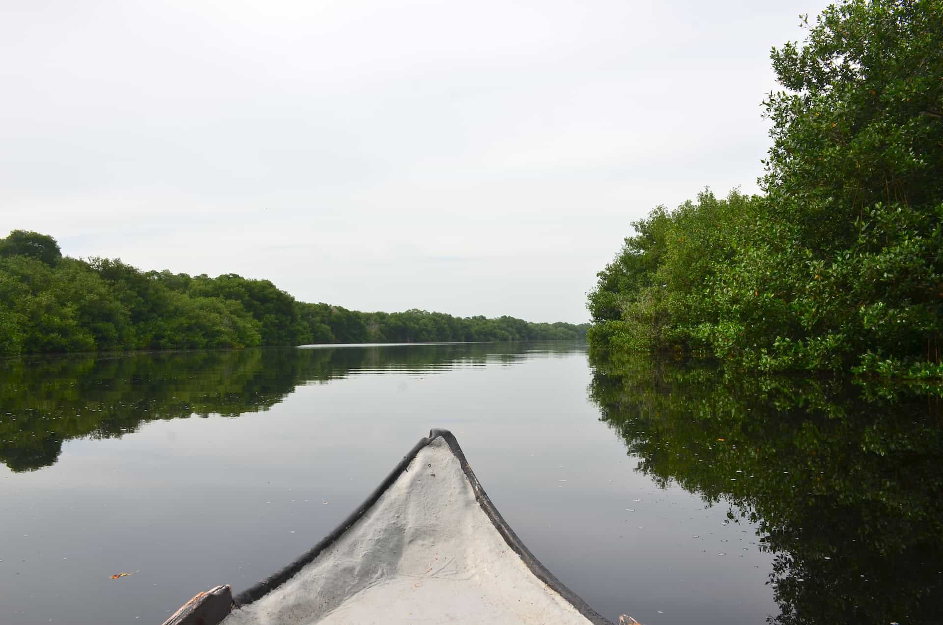 Lagoon at Ciénaga de la Caimanera in Coveñas, Sucre, Colombia