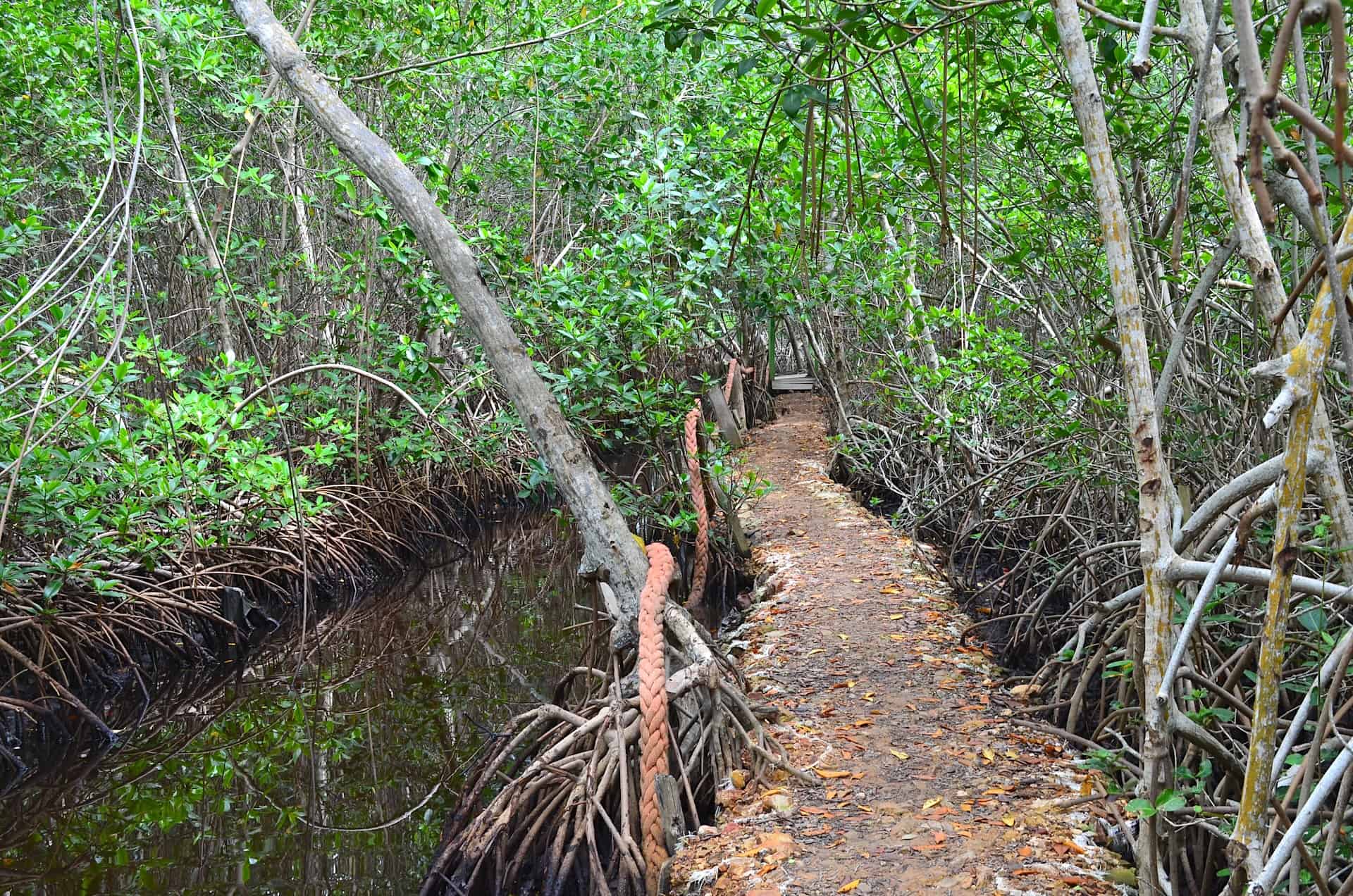 Path to the aquarium