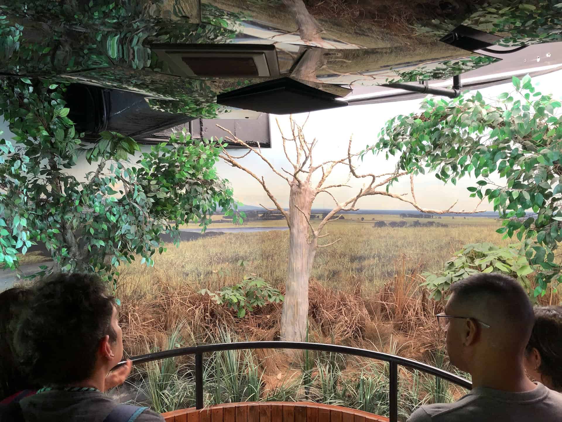 Plains ecosystem at the Water Museum in Medellín, Antioquia, Colombia