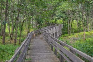 Boardwalk to the overlook at Tolleston Dunes, Indiana Dunes National Park