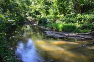 A portion of the Little Calumet River along the trail on the Heron Rookery Trail at Indiana Dunes National Park