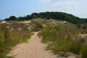 Start of the loop trail at West Beach, Indiana Dunes National Park
